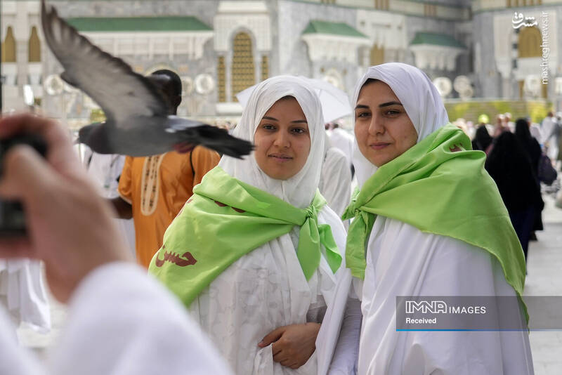 عکس/ موسم حج در سرزمین وحی