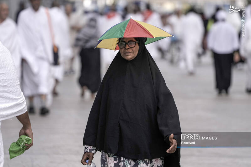 عکس/ موسم حج در سرزمین وحی