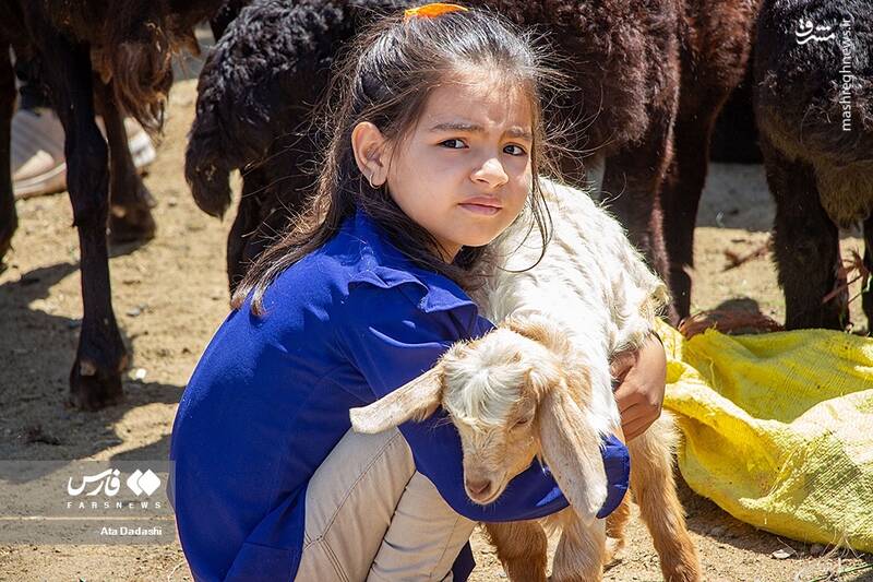 آذربایجان شرقی آذربایجان شرقی