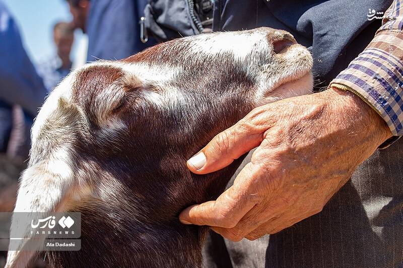 آذربایجان شرقی آذربایجان شرقی