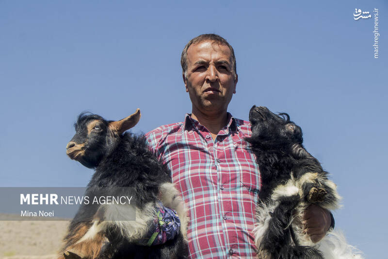 تبریز تبریز