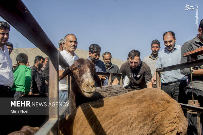 تبریز تبریز