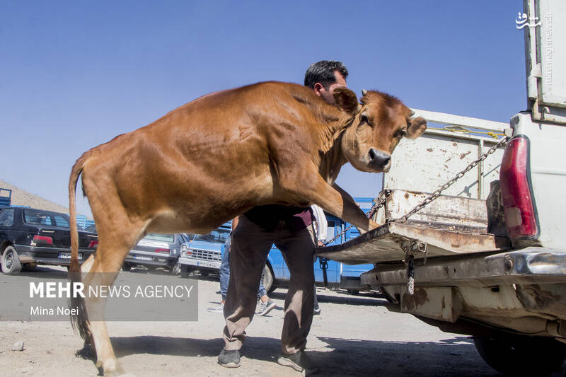 تبریز تبریز