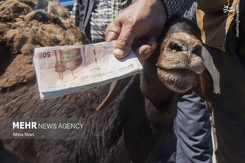 تبریز تبریز