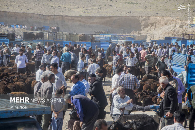 تبریز تبریز