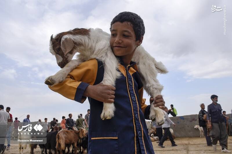 خراسان شمالی خراسان شمالی