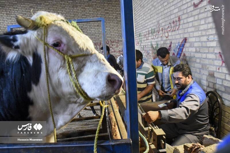 خراسان شمالی خراسان شمالی