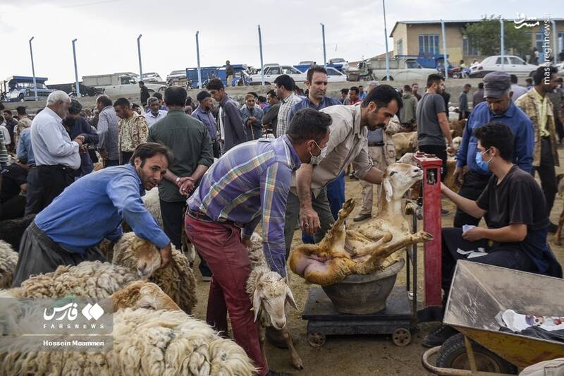 خراسان شمالی خراسان شمالی