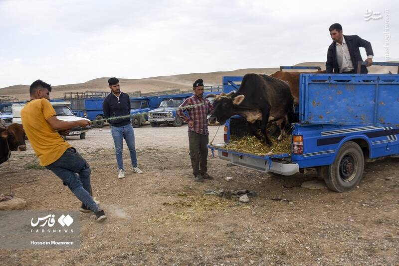 خراسان شمالی خراسان شمالی