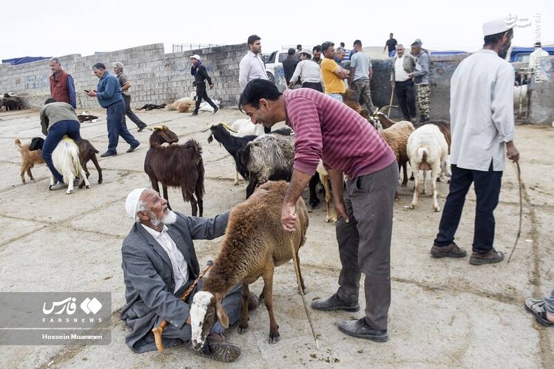 خراسان شمالی خراسان شمالی