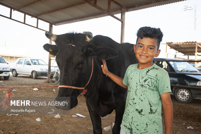 گنبد کاووس گنبد کاووس