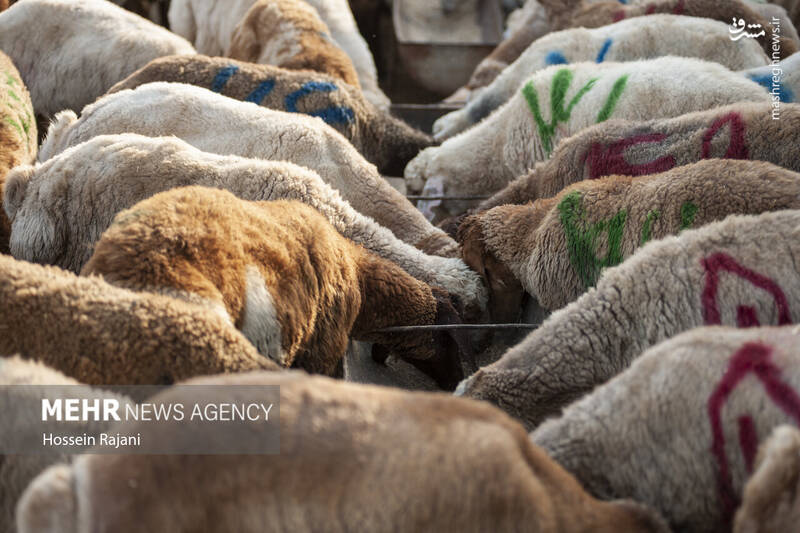 گنبد کاووس گنبد کاووس