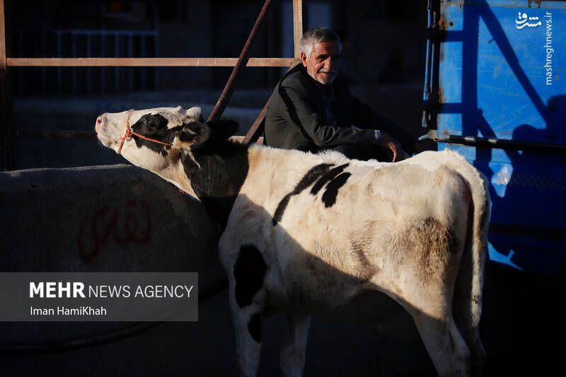 همدان همدان