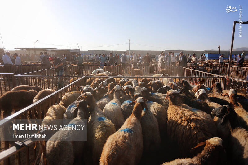 همدان همدان