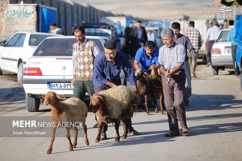 همدان همدان
