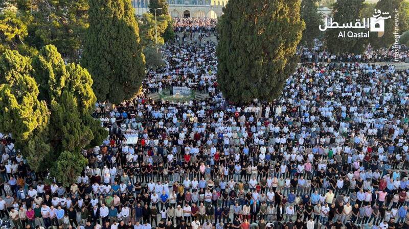 عکس/ حال و هوای قدس در عید قربان