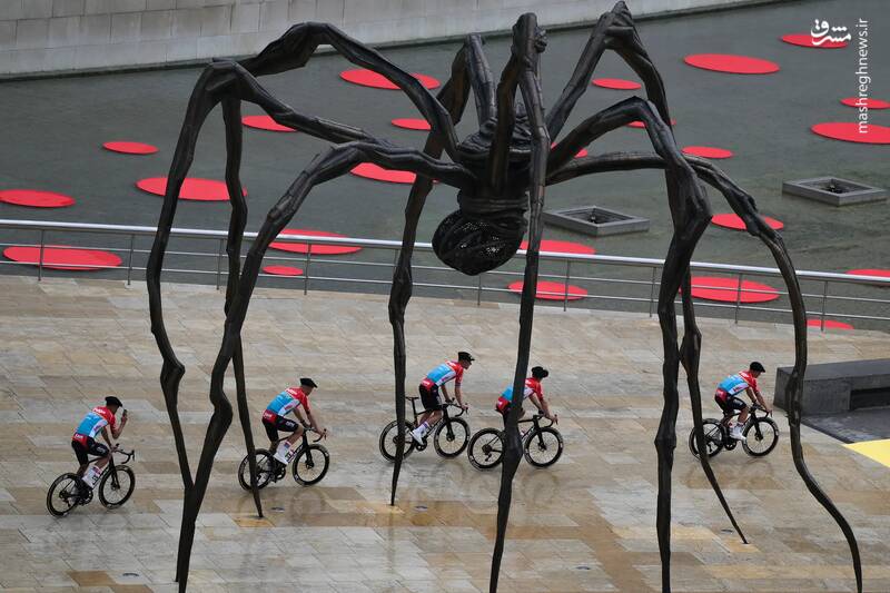 عبور دوچرخه سواران از کنار مجسمه عنکبوت در بیلبائو _ اسپانیا