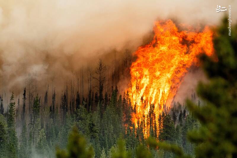 آتش سوزی ادامه دار جنگل‌های کانادا