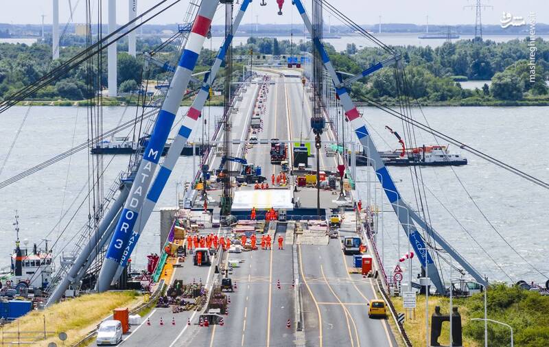 تعمیر یک پل غول پیکر در هلند