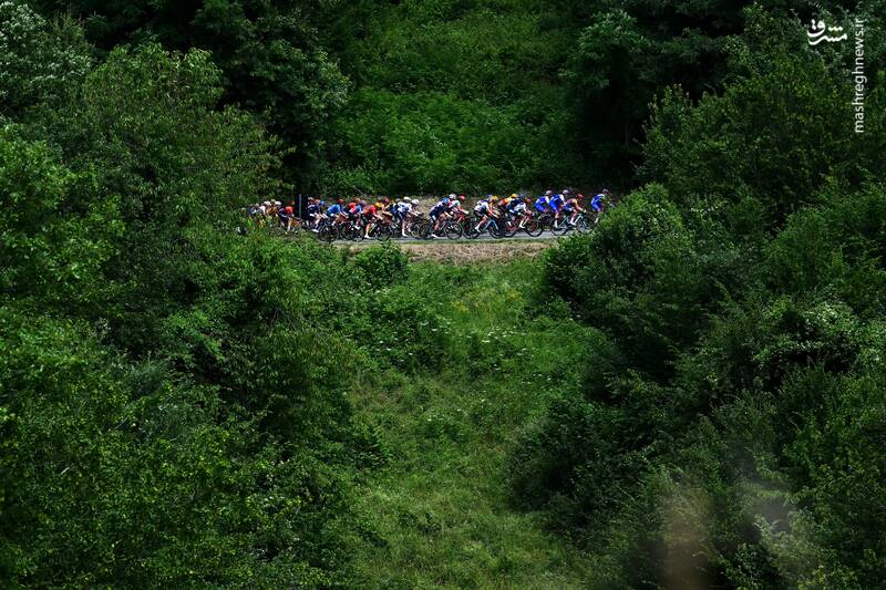 تصویری زیبا از عبور شرکت کنندگان مسابقات دوچرخه سواری از مسیر جنگلی در بورگو وال دی تارو _ ایتالیا