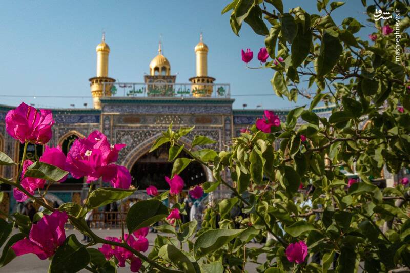 عکس/ حال و هوای کربلا در روز عید غدیر