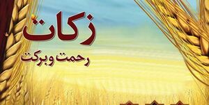 قانون زکات پس از 12 سال صاحب آییننامه شد