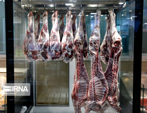 ثبات قیمت گوشت قرمز در بازار/ نیاز پایتخت به ۱۳ هزار و ۵۰۰ تن گوشت قرمز
