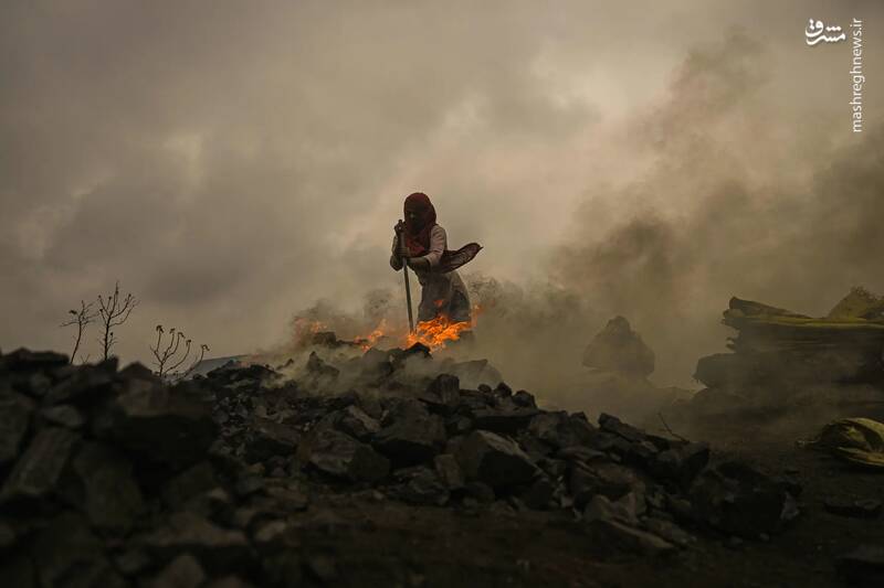 سوزاندن ذغال سنگ خام برای فروش توسط یک زن در دنباد _ هند