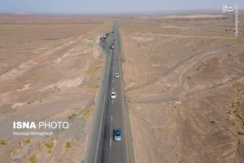 عکس / جاده مرگ یوزپلنگ اسیایی 2