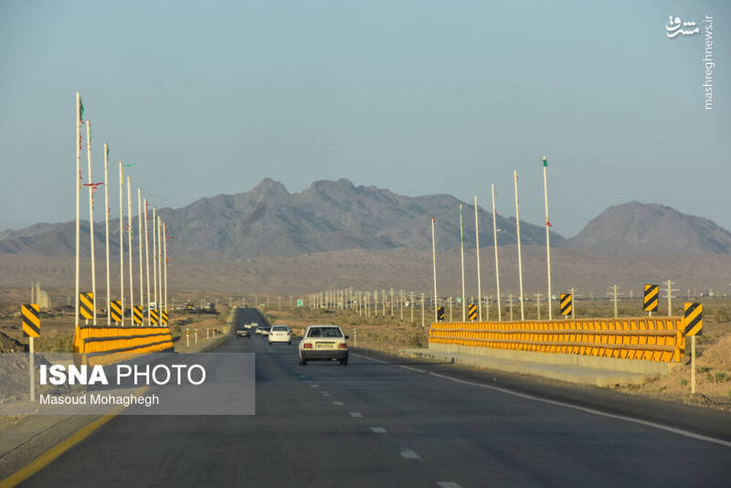 عکس / جاده مرگ یوزپلنگ اسیایی 4