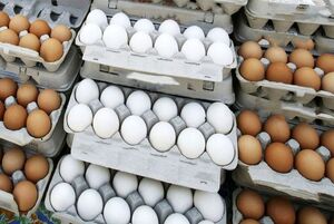 کاهش قیمت تخم مرغ در میادین تره‌بار