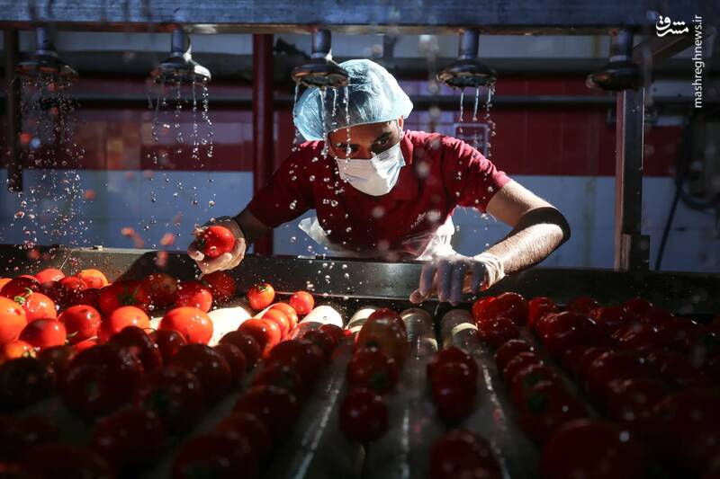 یک کارگر فلسطینی در کارخانه رب گوجه فرنگی در اردوگاه جبالیا _ نوار غزه کار می‌کند.