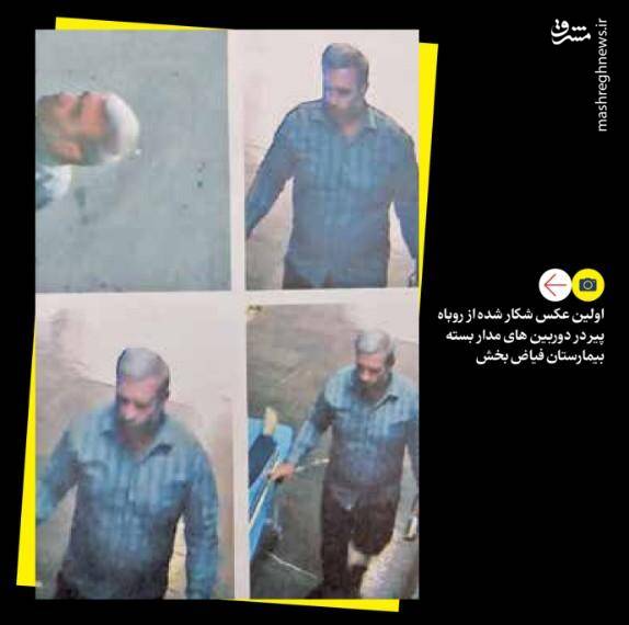 اصرار بیگناهی روباه پیر تهران +عکس