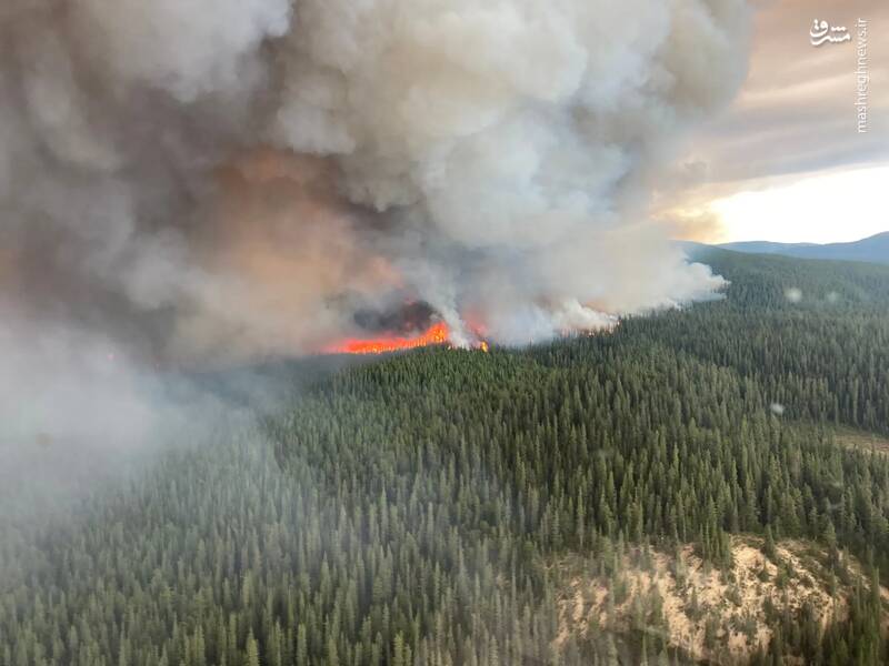 آتش سوزی سریالی مناطق جنگلی در یوکان _ کانادا