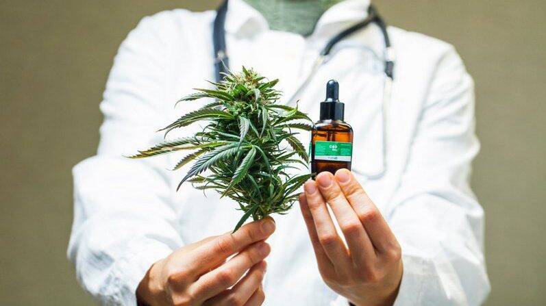 گیاهی که جان میلیونها نفر را گرفته است!