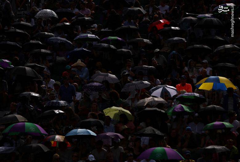 تماشاگران هنگام باریدن باران در مسابقات تنیس ویمبلدون از چتر استفاده می‌کنند./ انگلستان