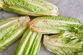 کاهو