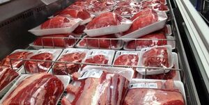نظر یک اصلاحطلب: چرا باید رأی بدهم؟/ اژهای: شرایط امروز، از شرایط عملیات والفجر 8 سختتر است 3