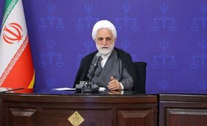 مادامی که لایحه عفافوحجاب قانونی نشده مثل قبل عمل شود / اگر انقلابی هستیم باید ملتزم به قانون باشیم / تعیین مجازات نباید به گونهای باشد که موجب وهن شود