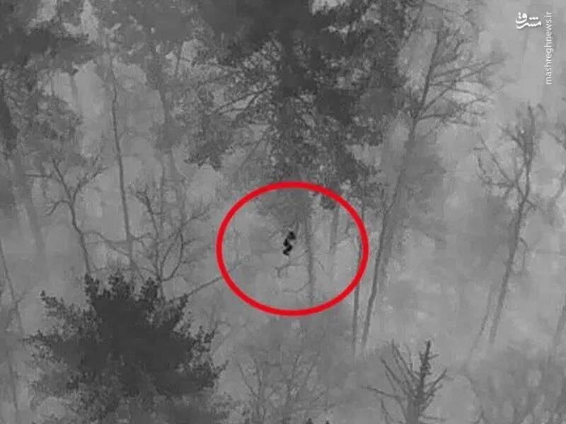 ماجرای عجیب انسانهایی که ناپدید و دههها بعد زنده پیدا شدند