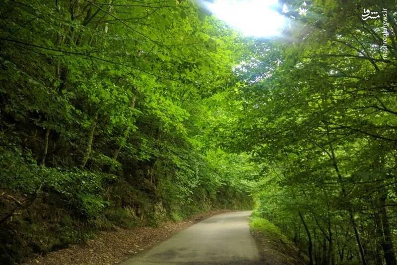 آبشار ویسادار تالش؛ جایی که شما را شگفت زده میکند
