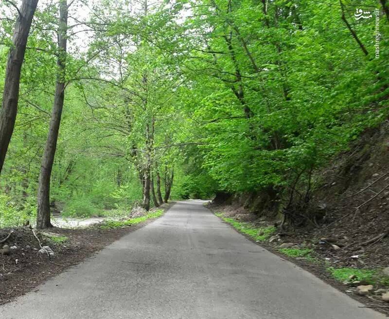 آبشار ویسادار تالش؛ جایی که شما را شگفت زده میکند