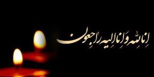 پیام‌های تسلیت مسئولان در پی درگذشت حجت‌الاسلام صانعی