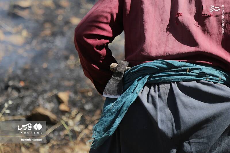 عکس/ آتش به جانِ جنگلهای مریوان