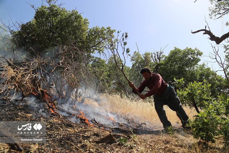عکس/ آتش به جانِ جنگلهای مریوان