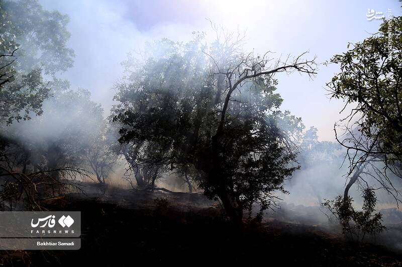 عکس/ آتش به جانِ جنگلهای مریوان