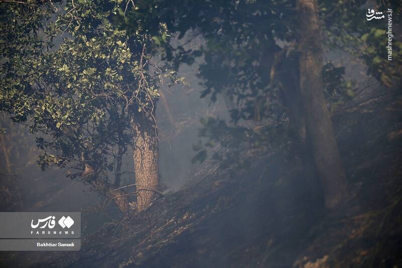 عکس/ آتش به جانِ جنگلهای مریوان