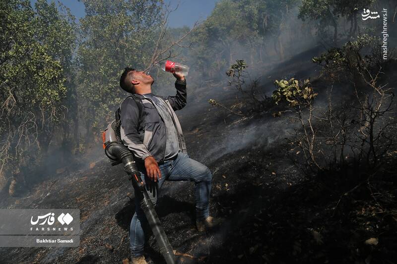 عکس/ آتش به جانِ جنگلهای مریوان