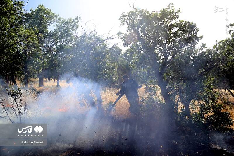 عکس/ آتش به جانِ جنگلهای مریوان