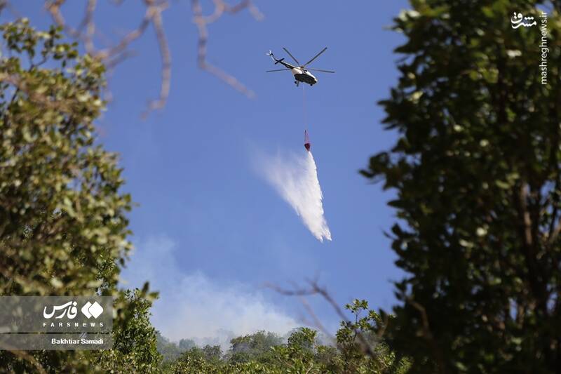 عکس/ آتش به جانِ جنگلهای مریوان